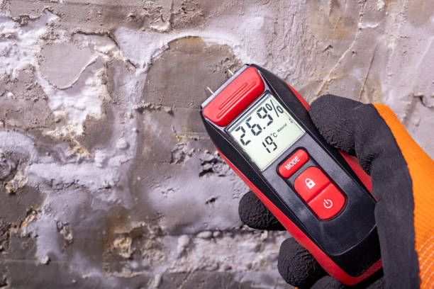 Best Best Mold Removal Companies  in Middletown, OH