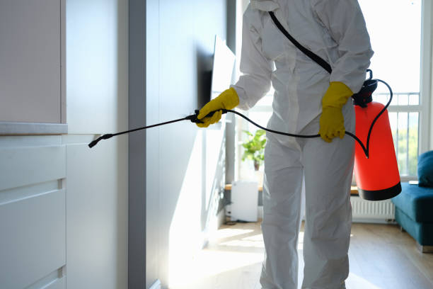 Reliable Middletown, OH Mold Removal Solutions