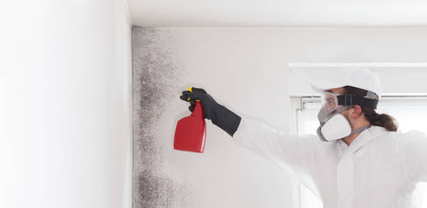 Best Crawl Space Mold Removal  in Middletown, OH